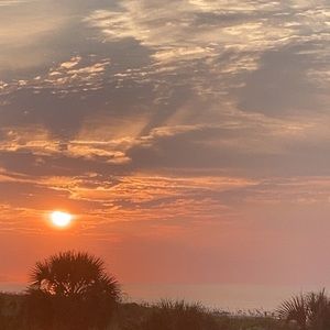 Meet your Posher, Amara